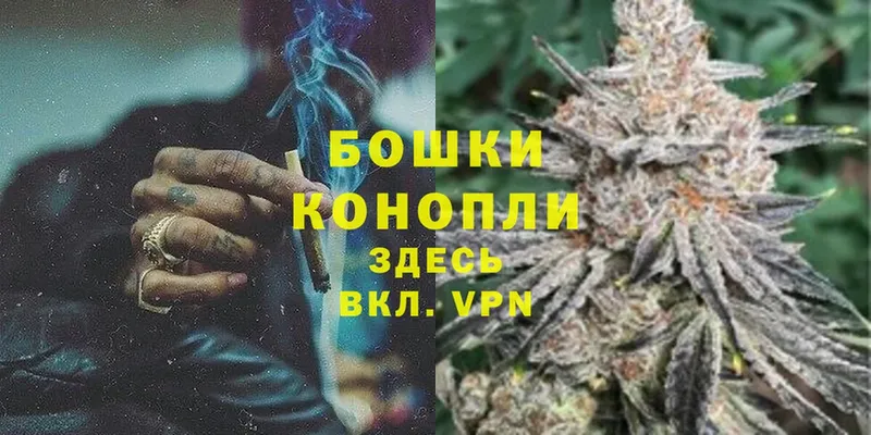 Бошки марихуана THC 21%  купить  цена  Лебедянь 